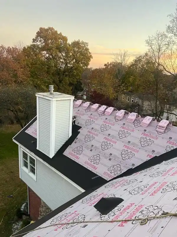 Professional Construction Contractor Professional Construction Contractor